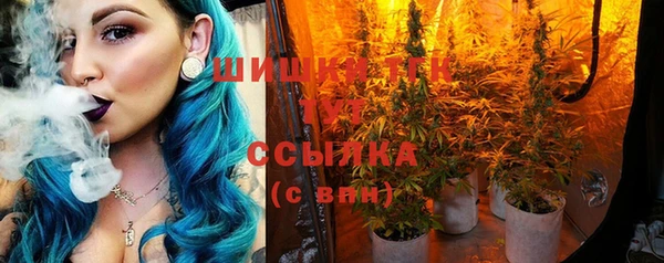 гидра Нея