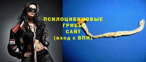 гидра Нея
