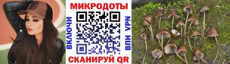 Галлюциногенные грибы мицелий Кирс