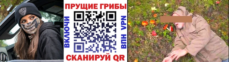 Псилоцибиновые грибы мицелий  Кирс 